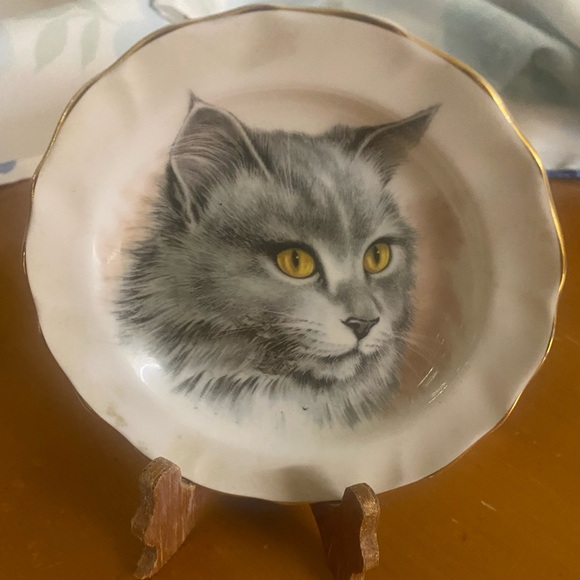 Vintage Fenton Persian Kitten Cat Plate English Bone China Trinket Gold Rim - Picture 2 of 9